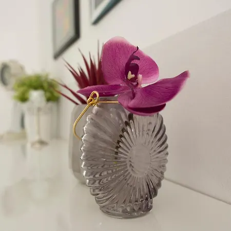 Apartamento Katy Pula