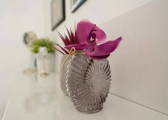 아파트 Katy 풀라